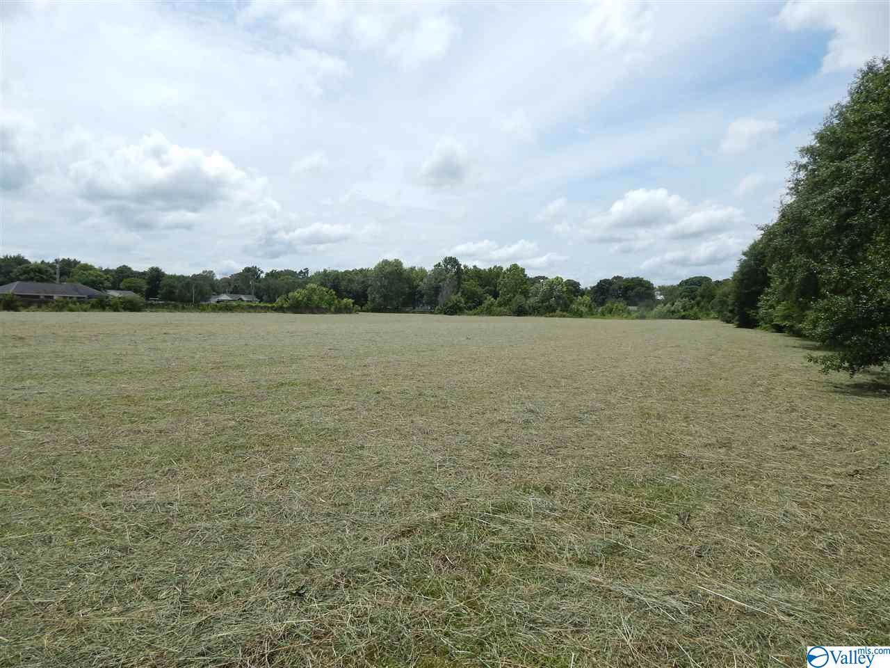 Elkwood Section Road - Photo 1