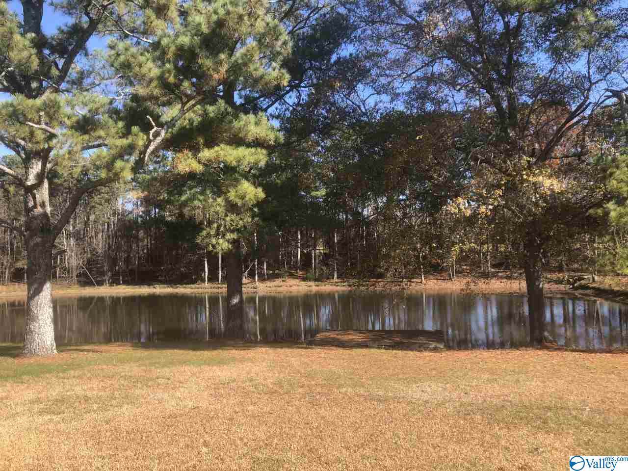 0 County Road 1866 - Photo 1