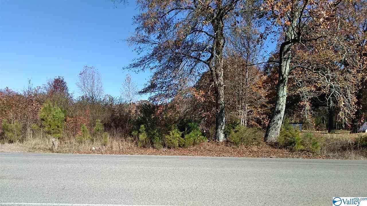 0 Capshaw Road - Photo 1