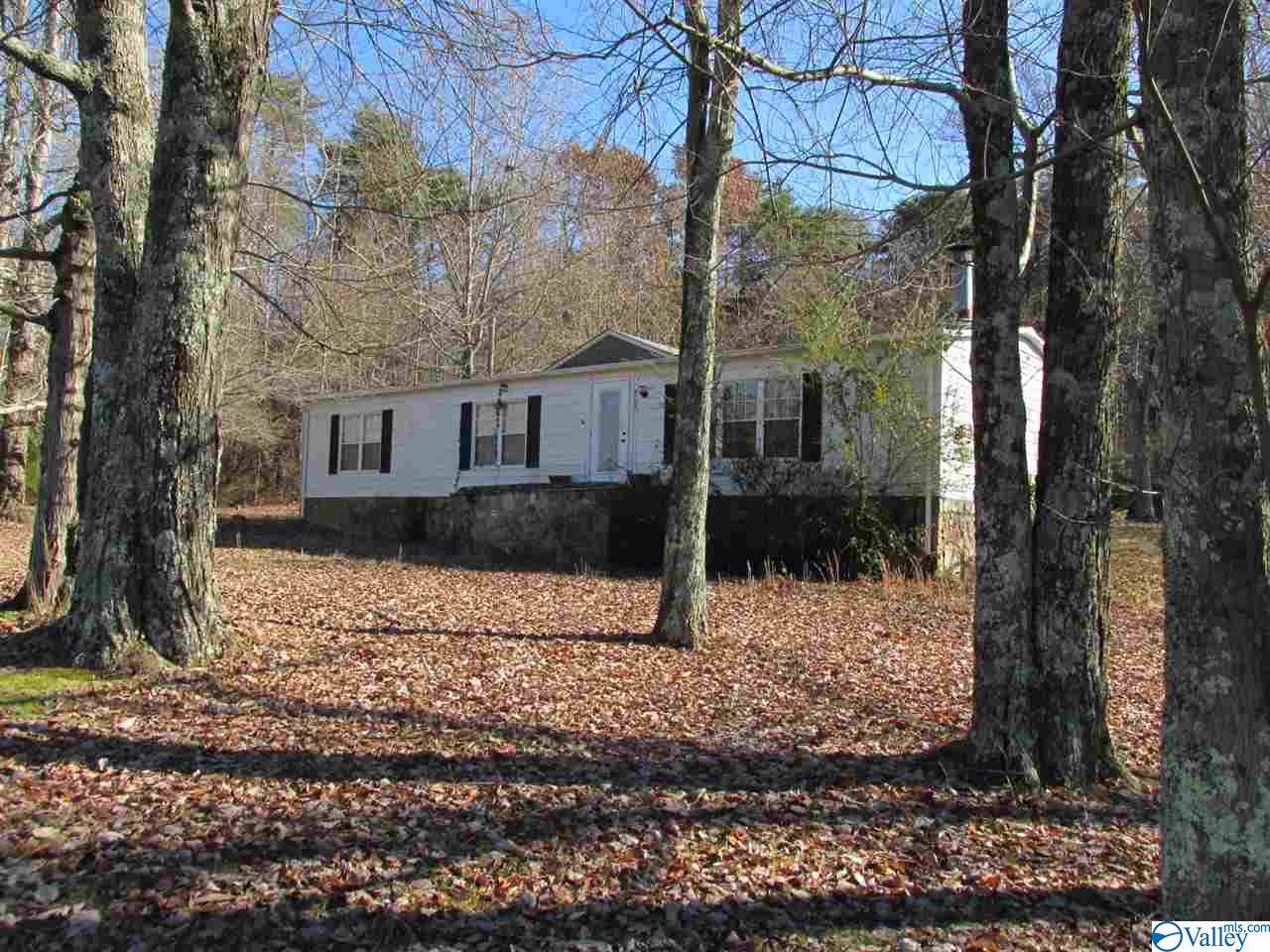 4105 Desoto Parkway - Photo 1