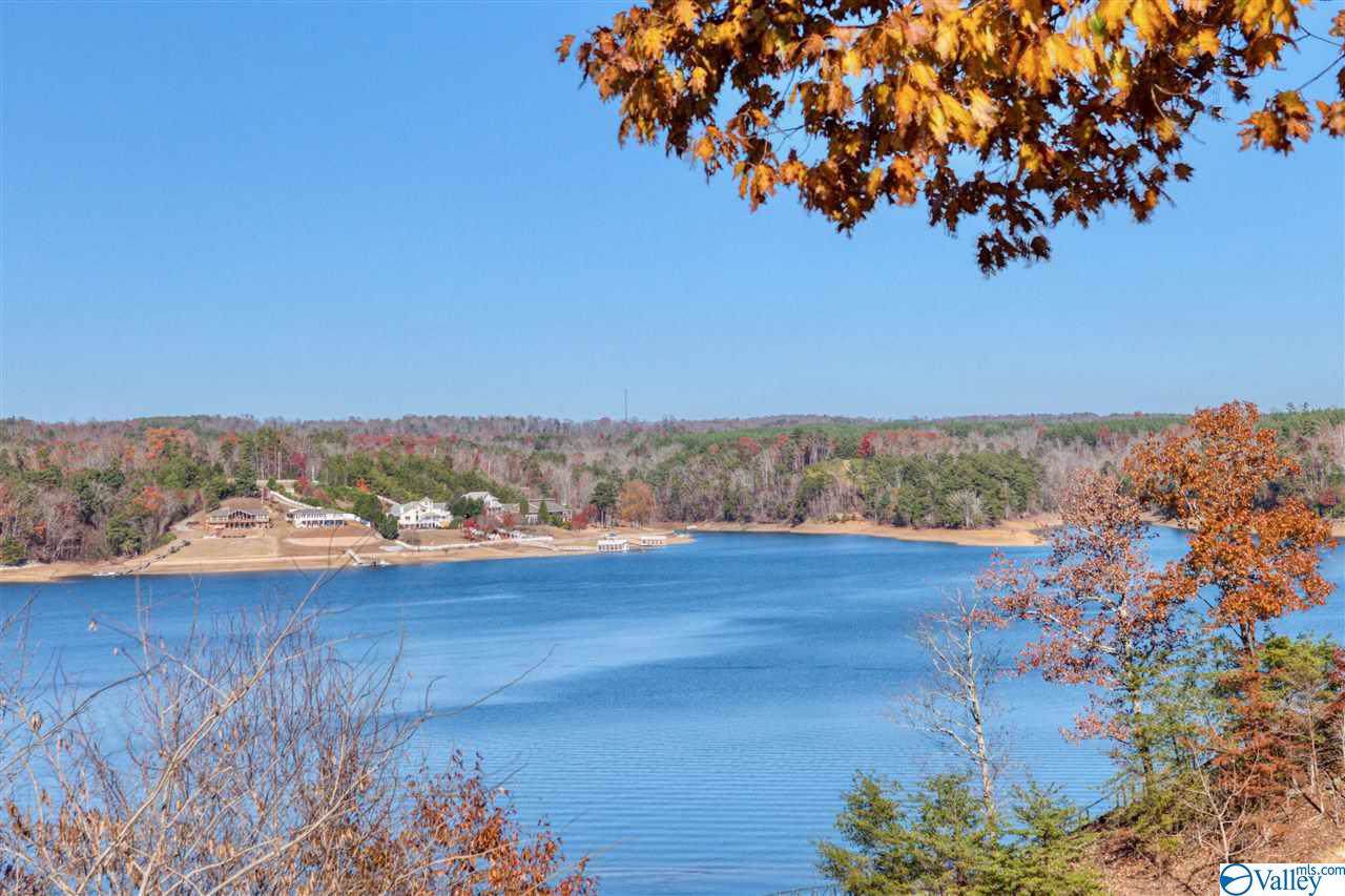 1172 County Road 127 - Photo 1