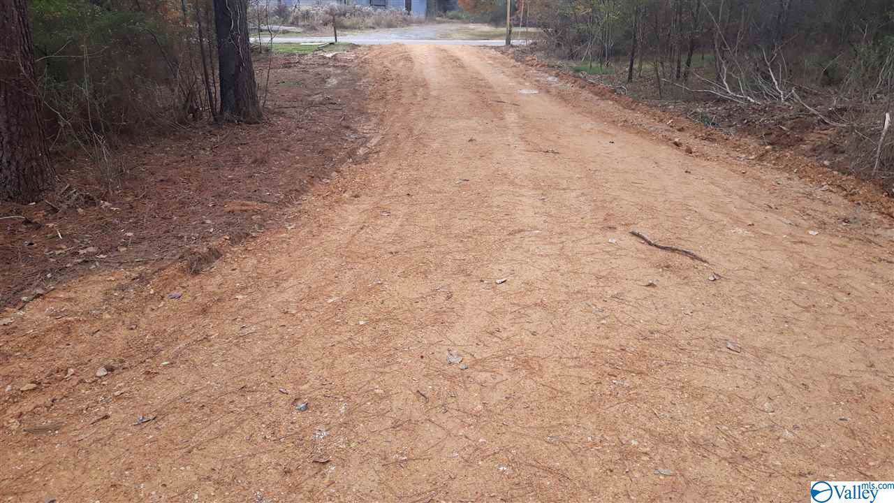 310 Tupelo Pike - Photo 1