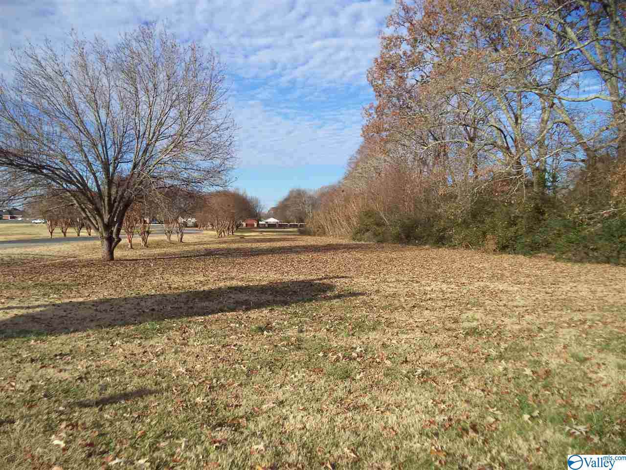 00 Highway 231/431 - Photo 1