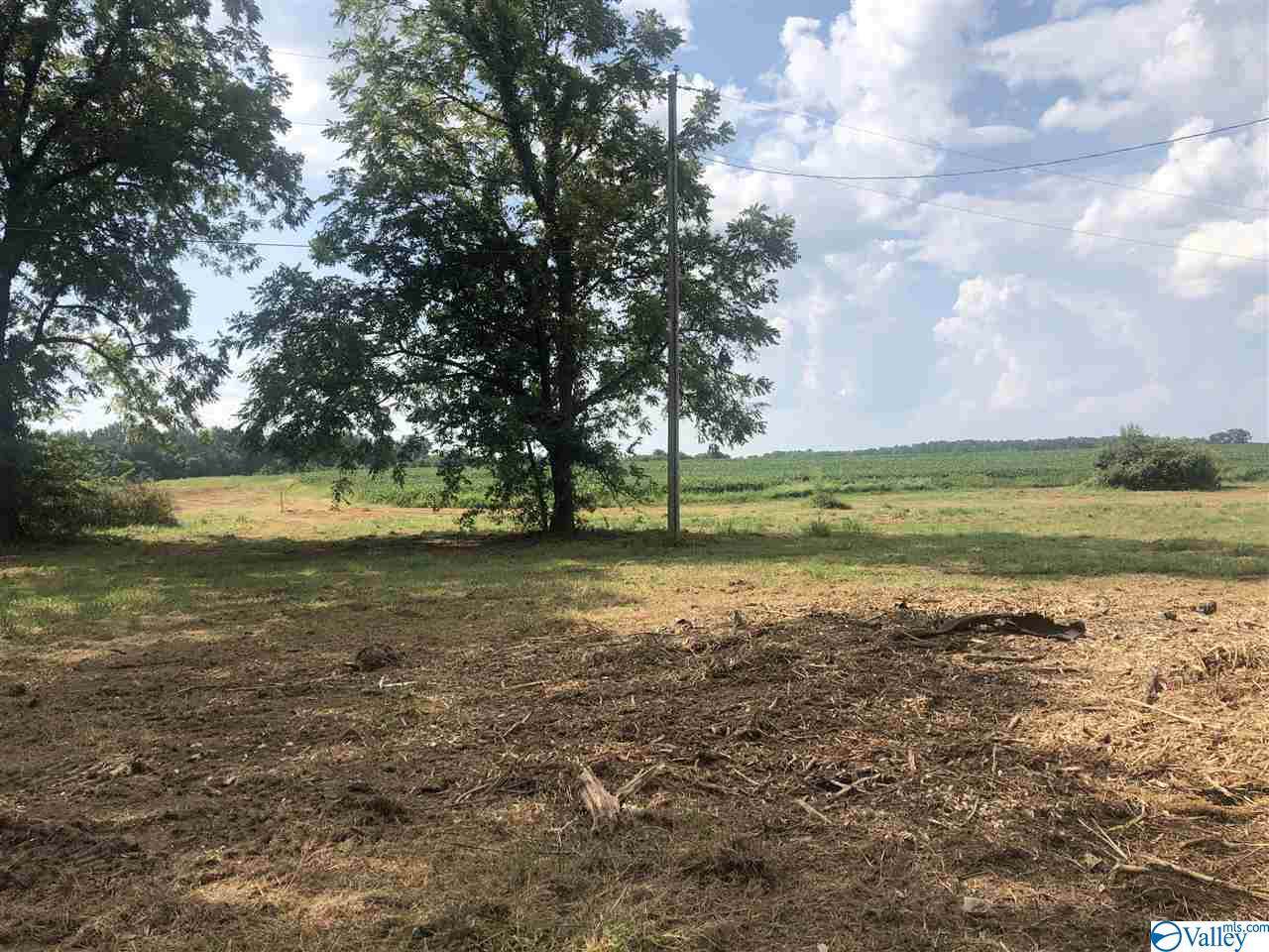 LOT 5 Hays Mill Road - Photo 1