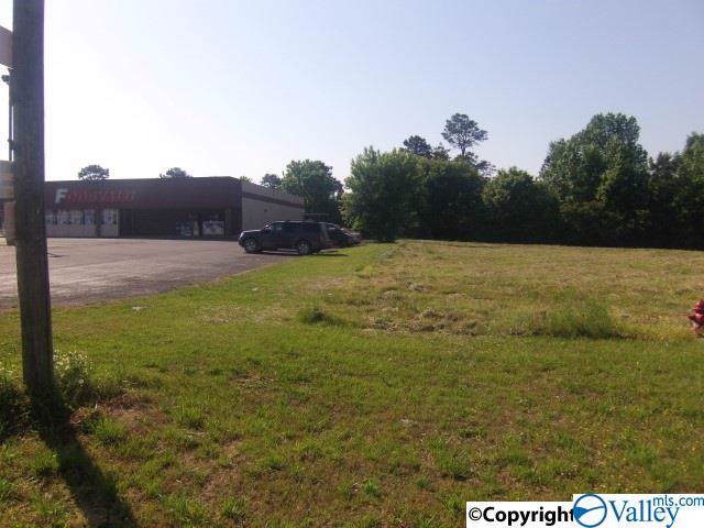 Highway 75 - Photo 1