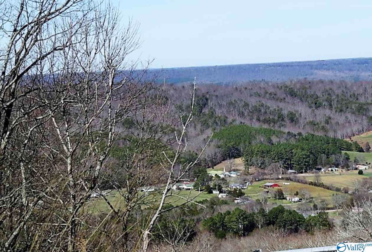 Tract 2 County Road 107 - Photo 1