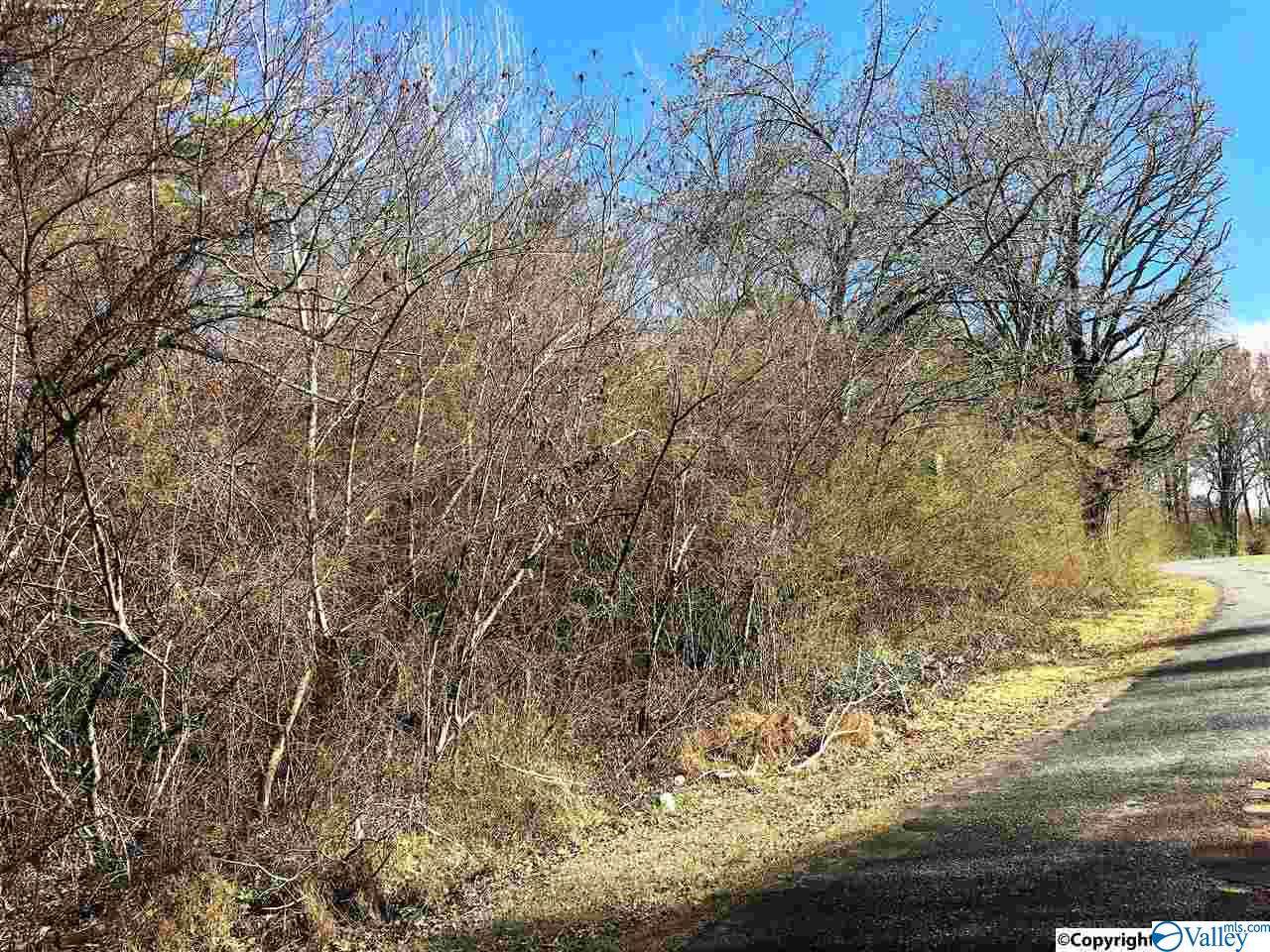 Jackson Road - Photo 1