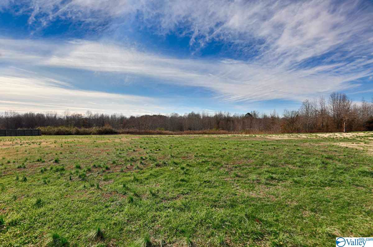 16331 Mooresville Road - Photo 1