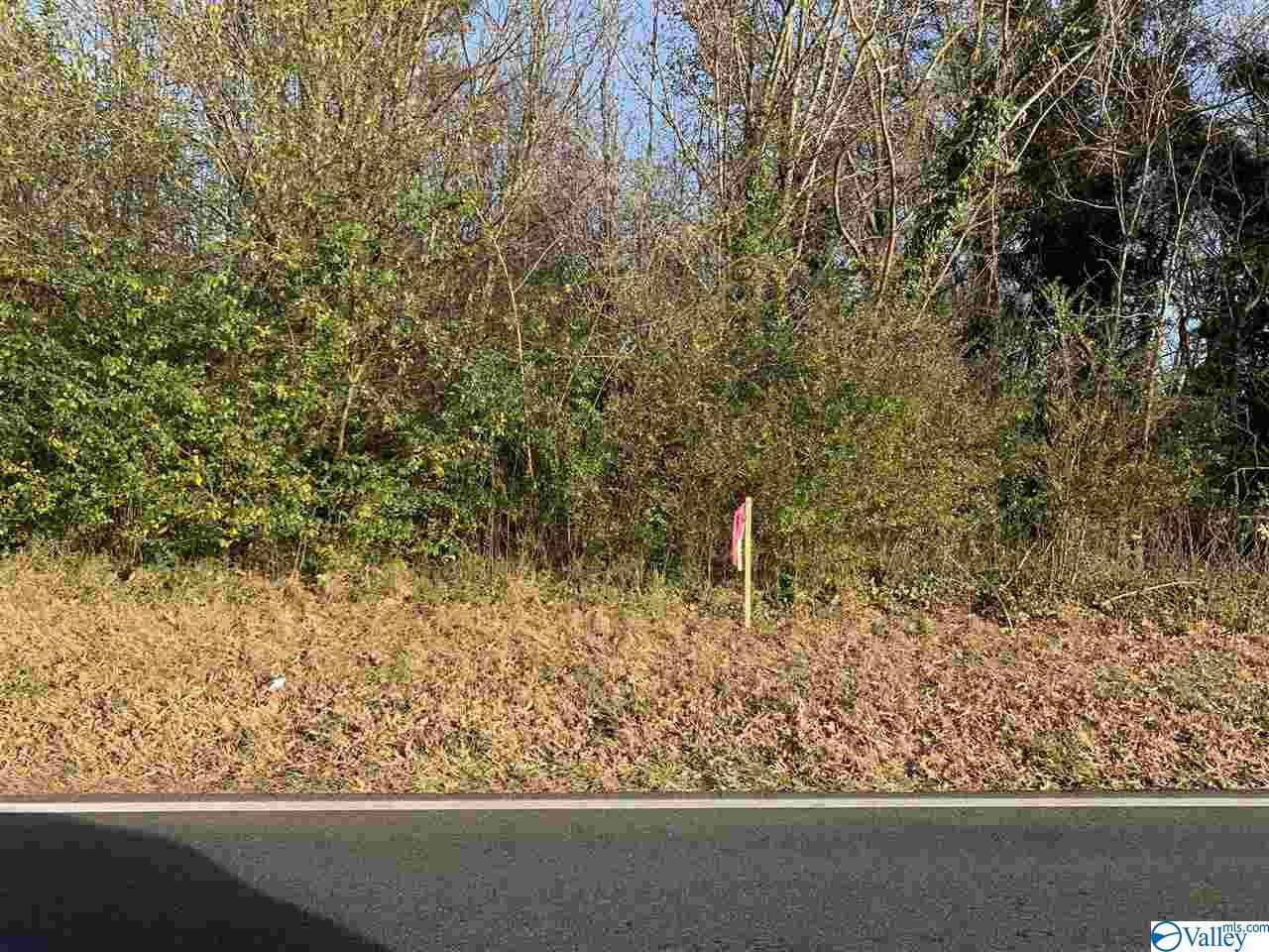 0 Central Parkway - Photo 1