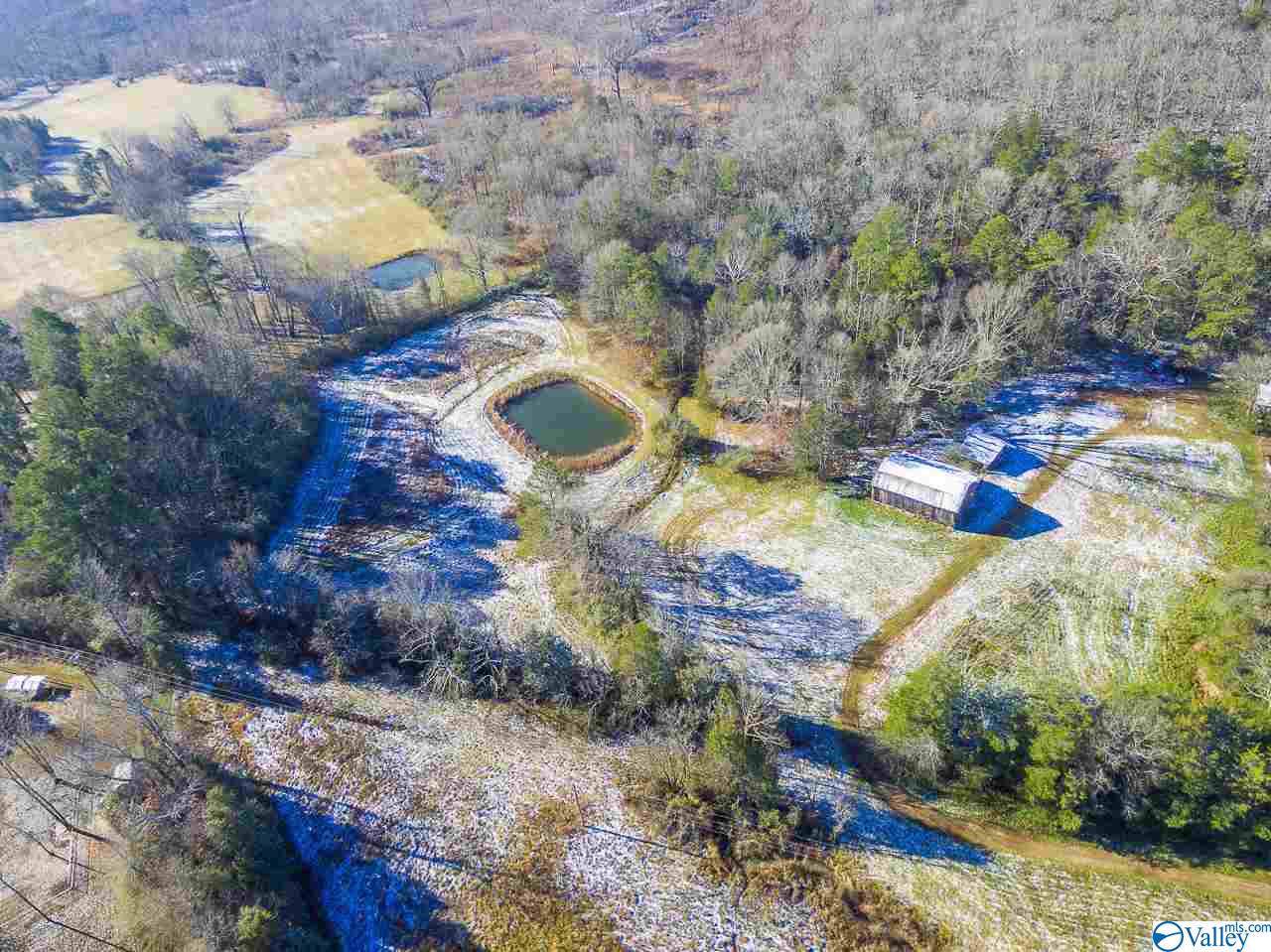 1 Hwy 67 - Photo 1