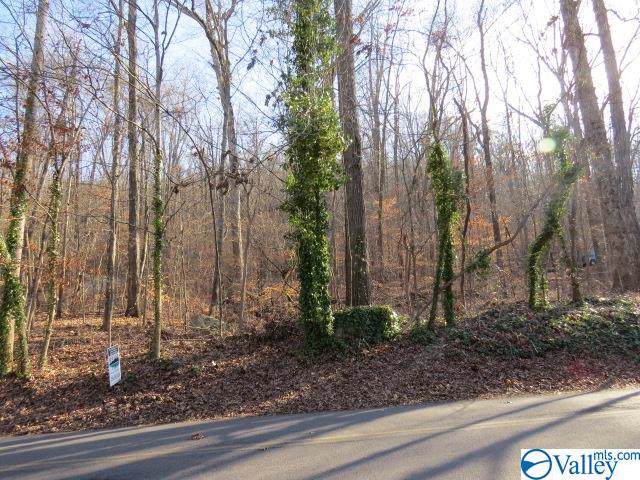 00 Wyeth Drive - Photo 1