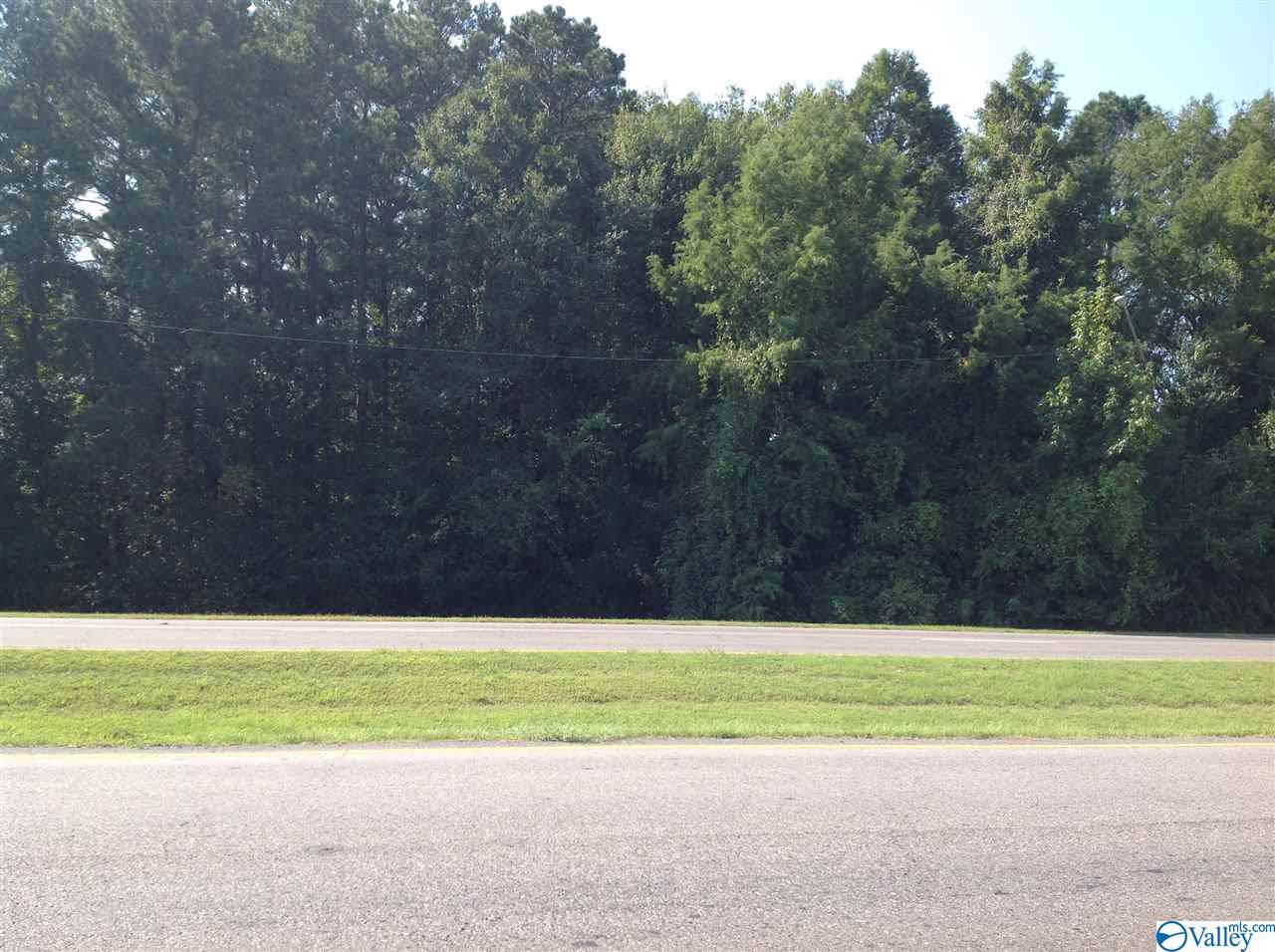 0 Piedmont Cutoff - Photo 1