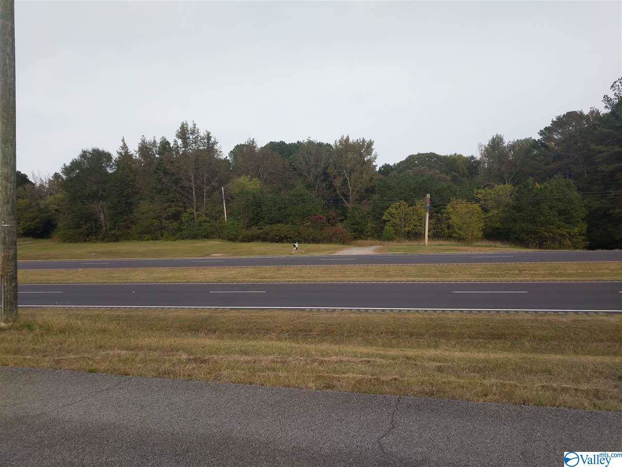 10400 Highway 431 - Photo 1