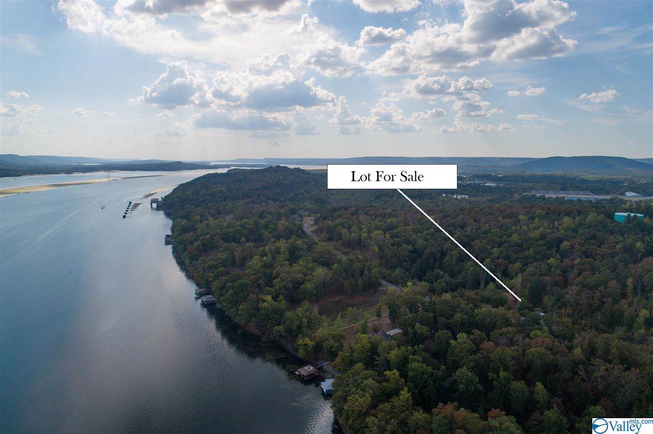 Lot 161 & 162 Lookout Mountain Drive - Photo 1