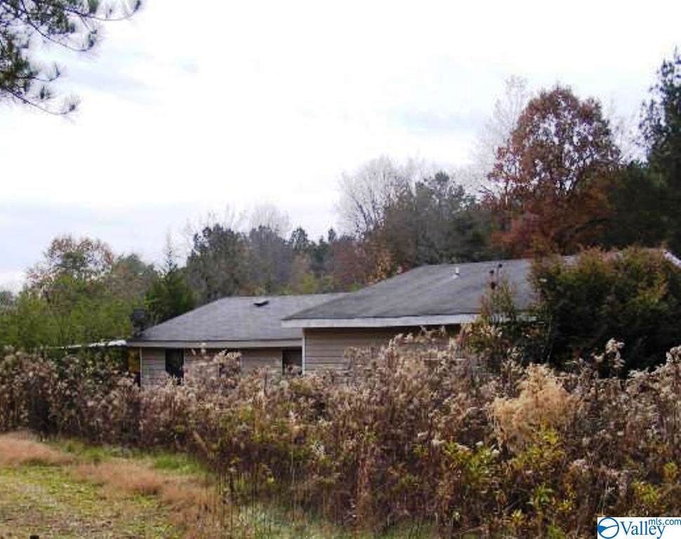39 County Road 576 - Photo 1