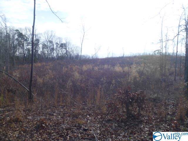 Lot 2 Long Hollow Circle - Photo 1