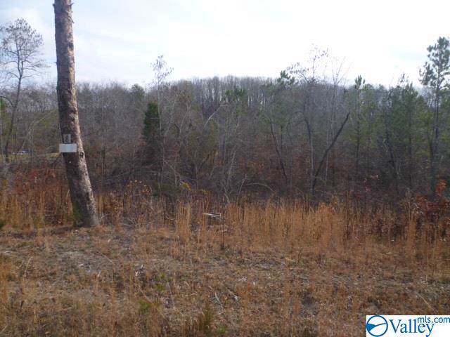 Lot 8 County Road 88 - Photo 1