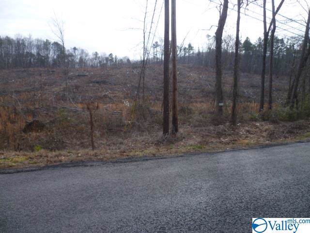 Lot 9 County Road 88 - Photo 1