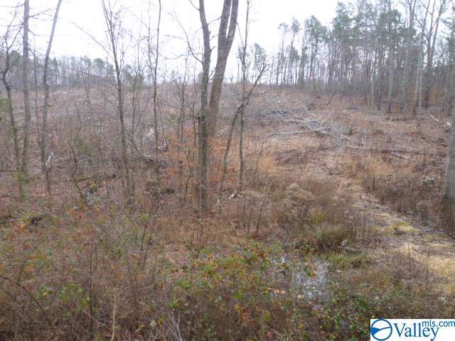 Lot 10 County Road 88 - Photo 1