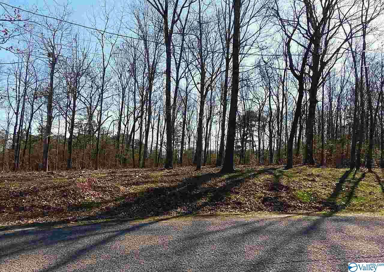 Stoney Mountain Drive - Photo 1