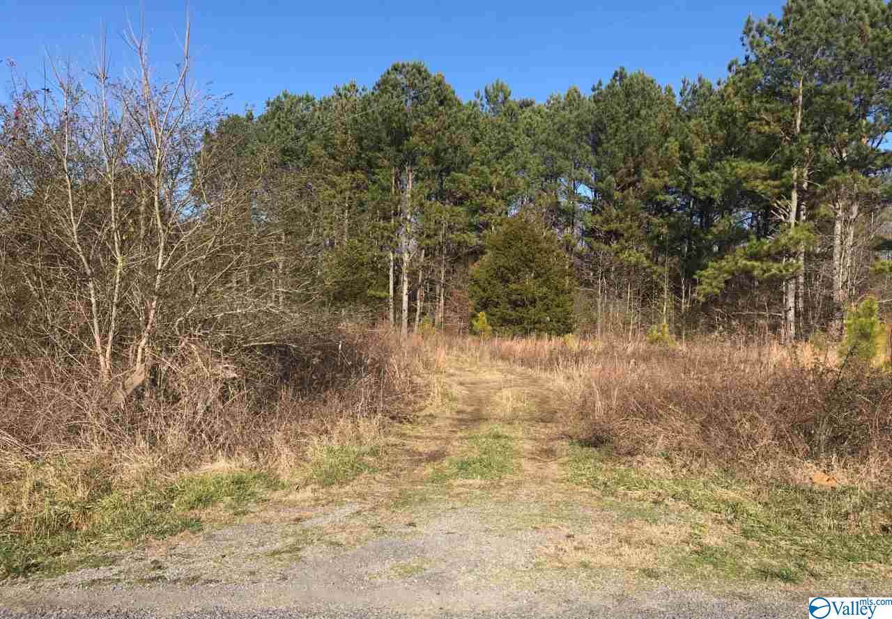 05 Junkins Road - Photo 1