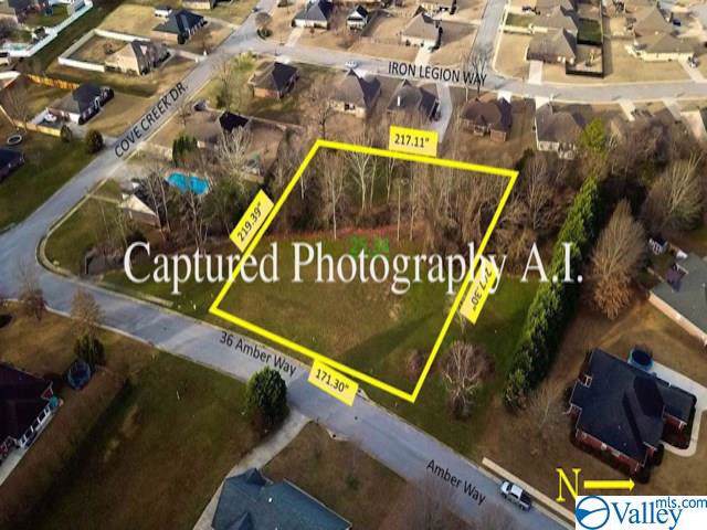 36 Amber Way - Photo 1 36 Amber Way - Photo 1