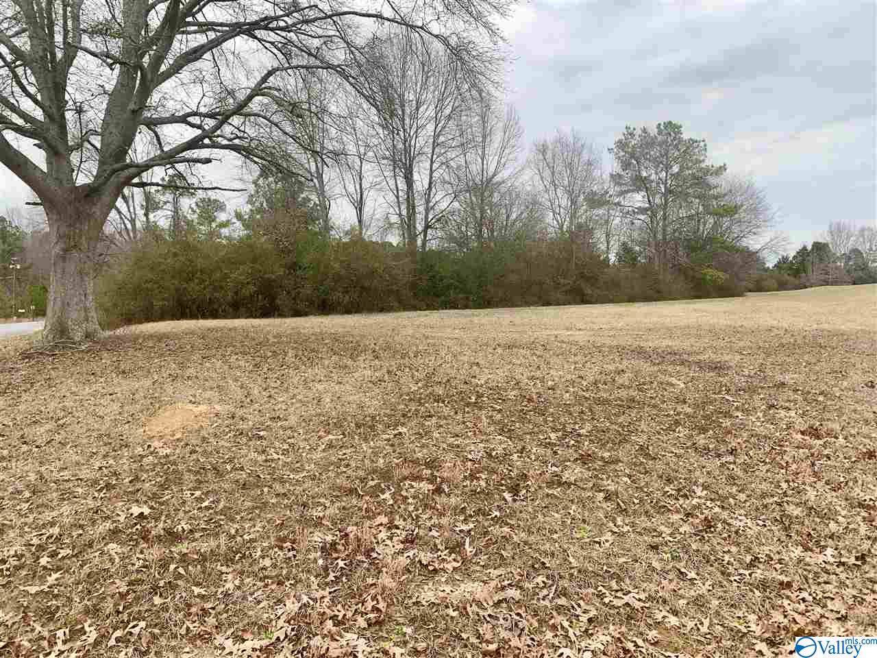 County Road 355 - Photo 1 County Road 355 - Photo 1