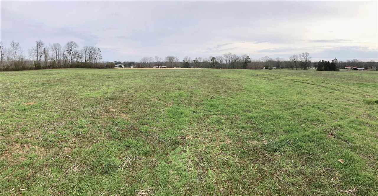 0 Holly Hill Road - Photo 1