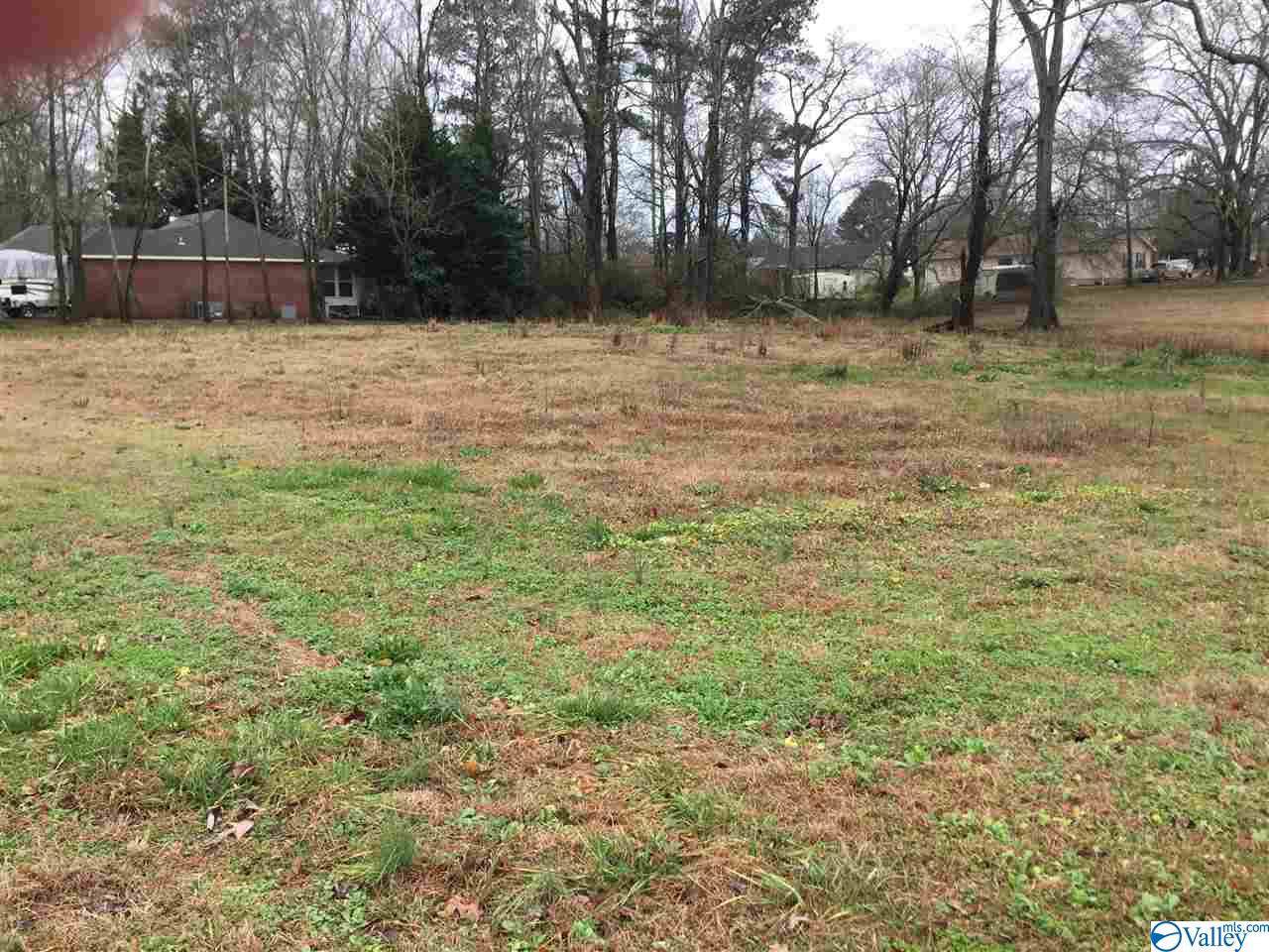 Lot 3 Seay Avenue - Photo 1 Lot 3 Seay Avenue - Photo 1