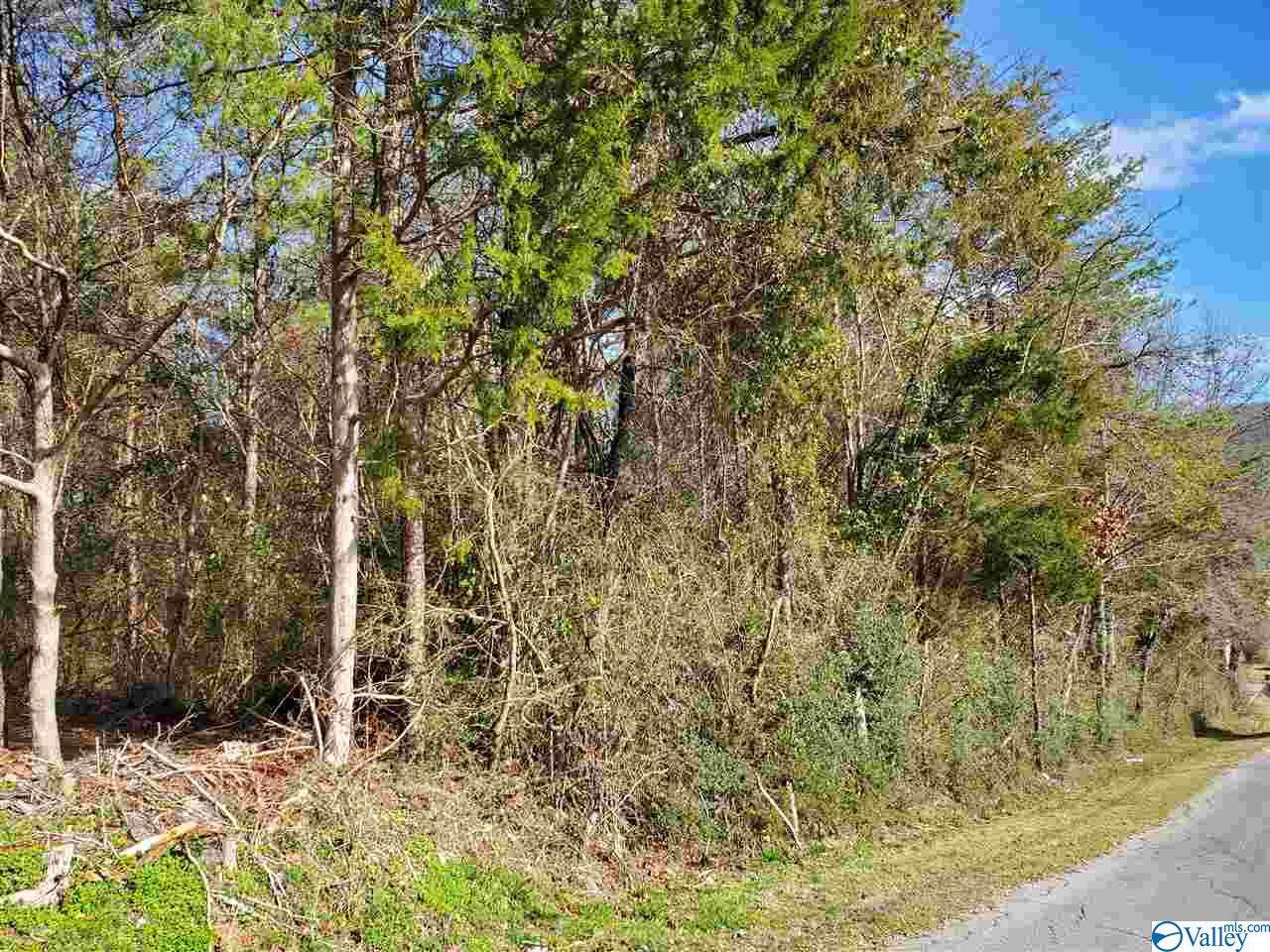 Grand Avenue - Photo 1