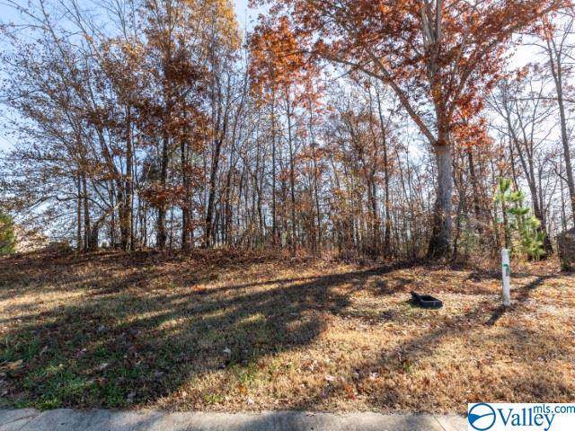 23324 Shinnecock Hills - Photo 1