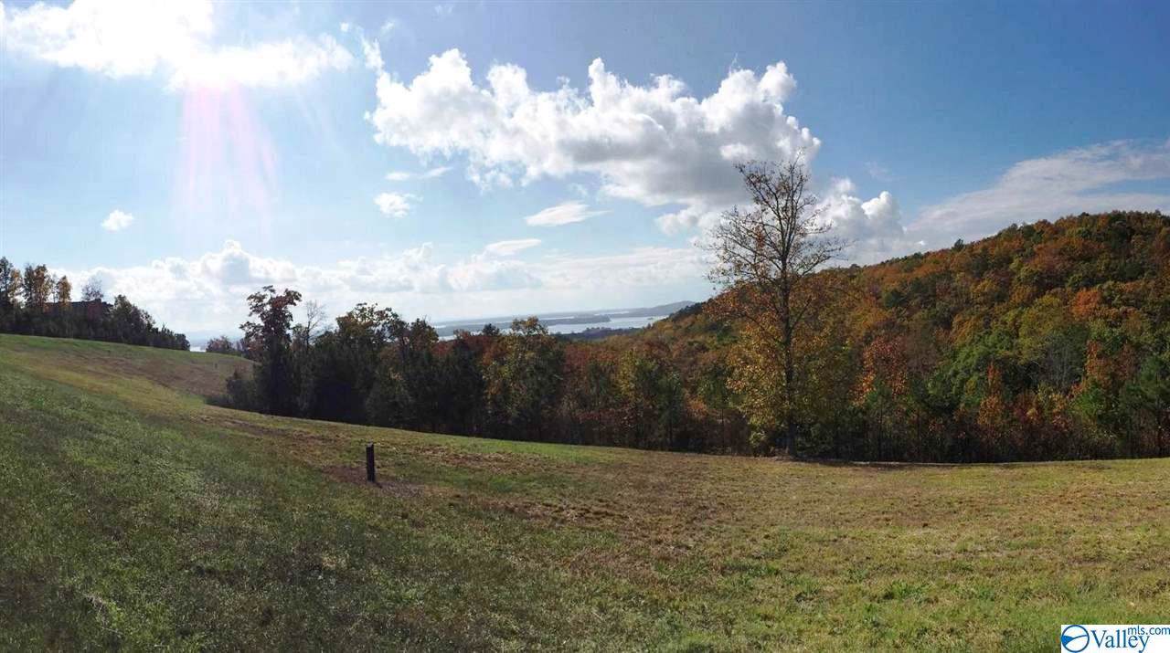 Lot 50 County Road 767 - Photo 1