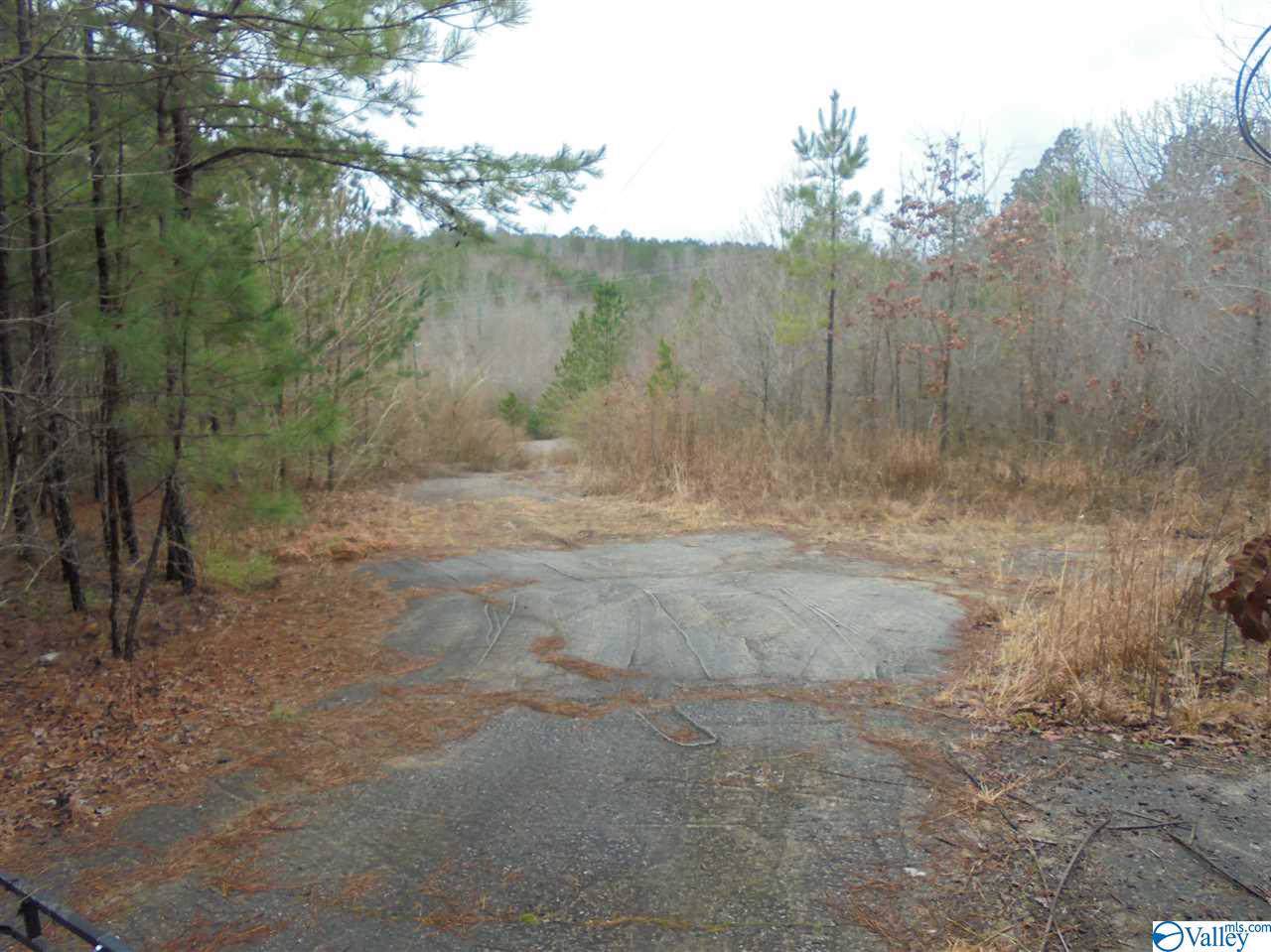 565 Steel Plant Lake Road - Photo 1