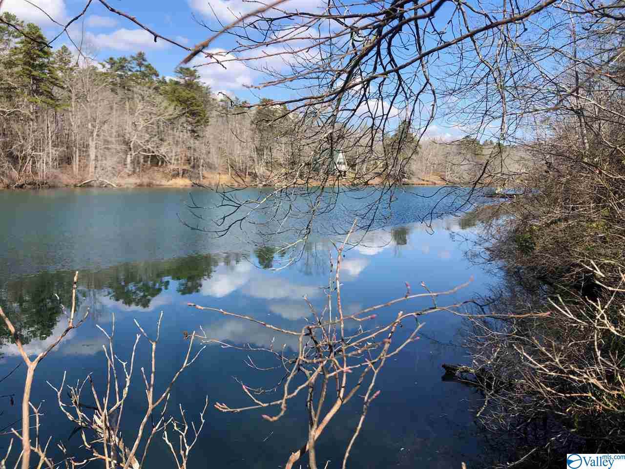 13040 County Road 103 - Photo 1