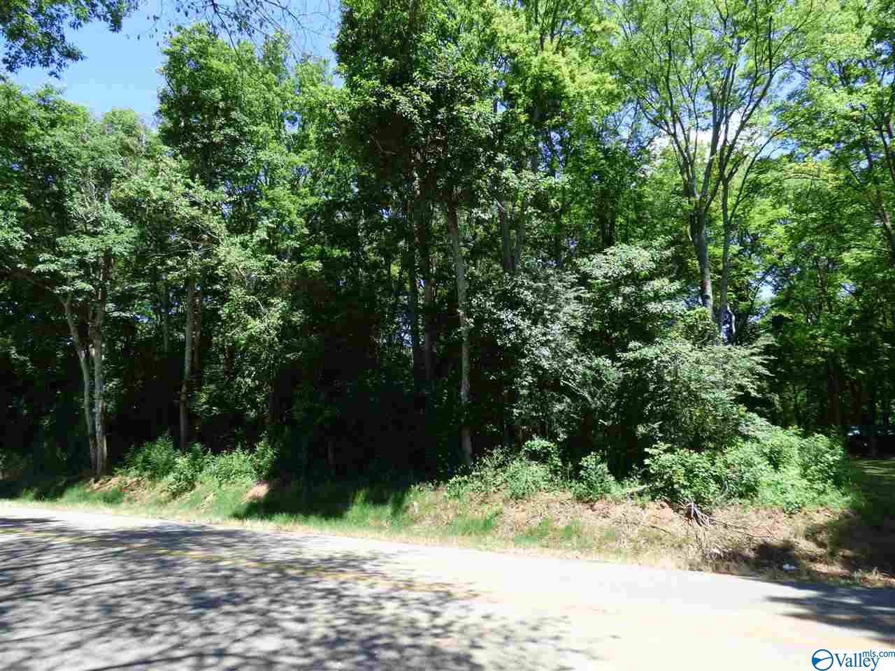 L14 County Road 91 - Photo 1
