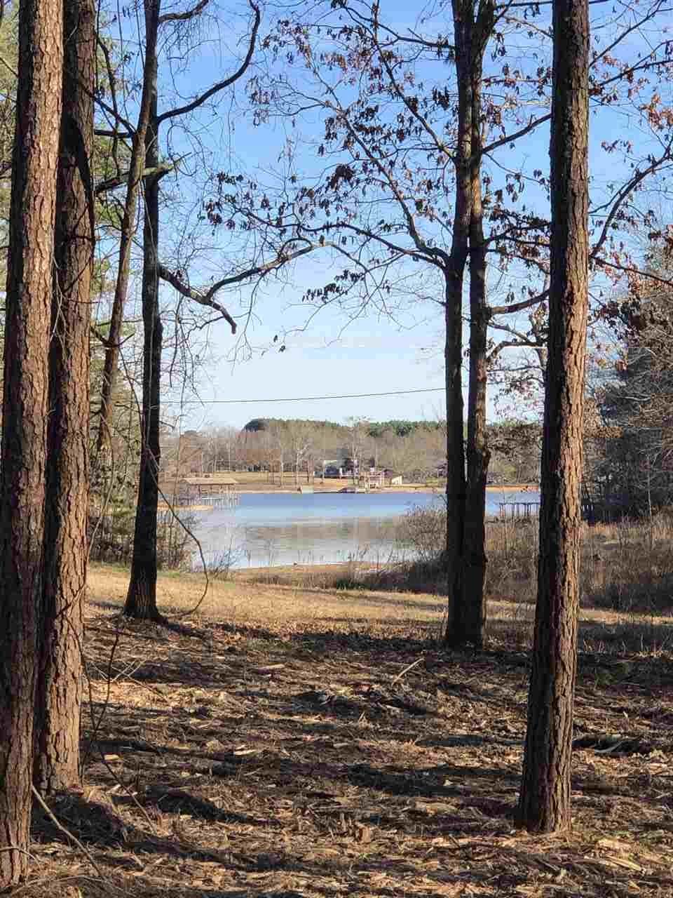 000 County Road 534 - Photo 1 000 County Road 534 - Photo 1