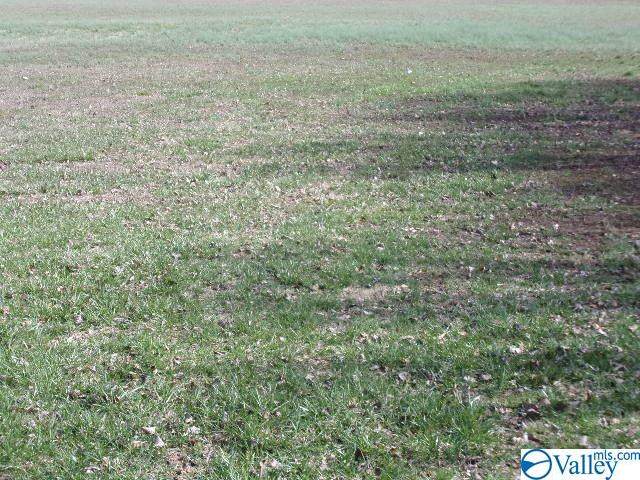 0 Smith Avenue - Photo 1