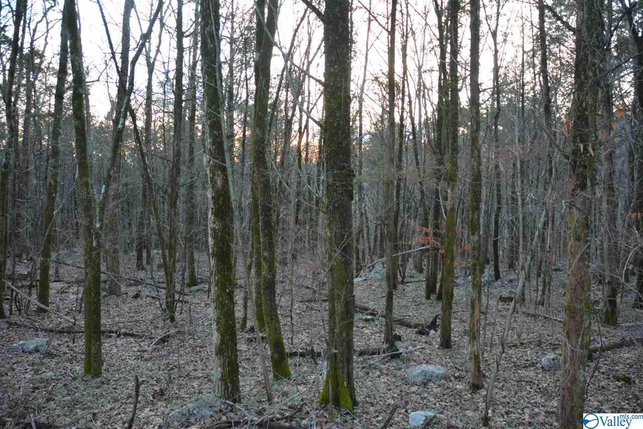 0 County Road 17 - Photo 1
