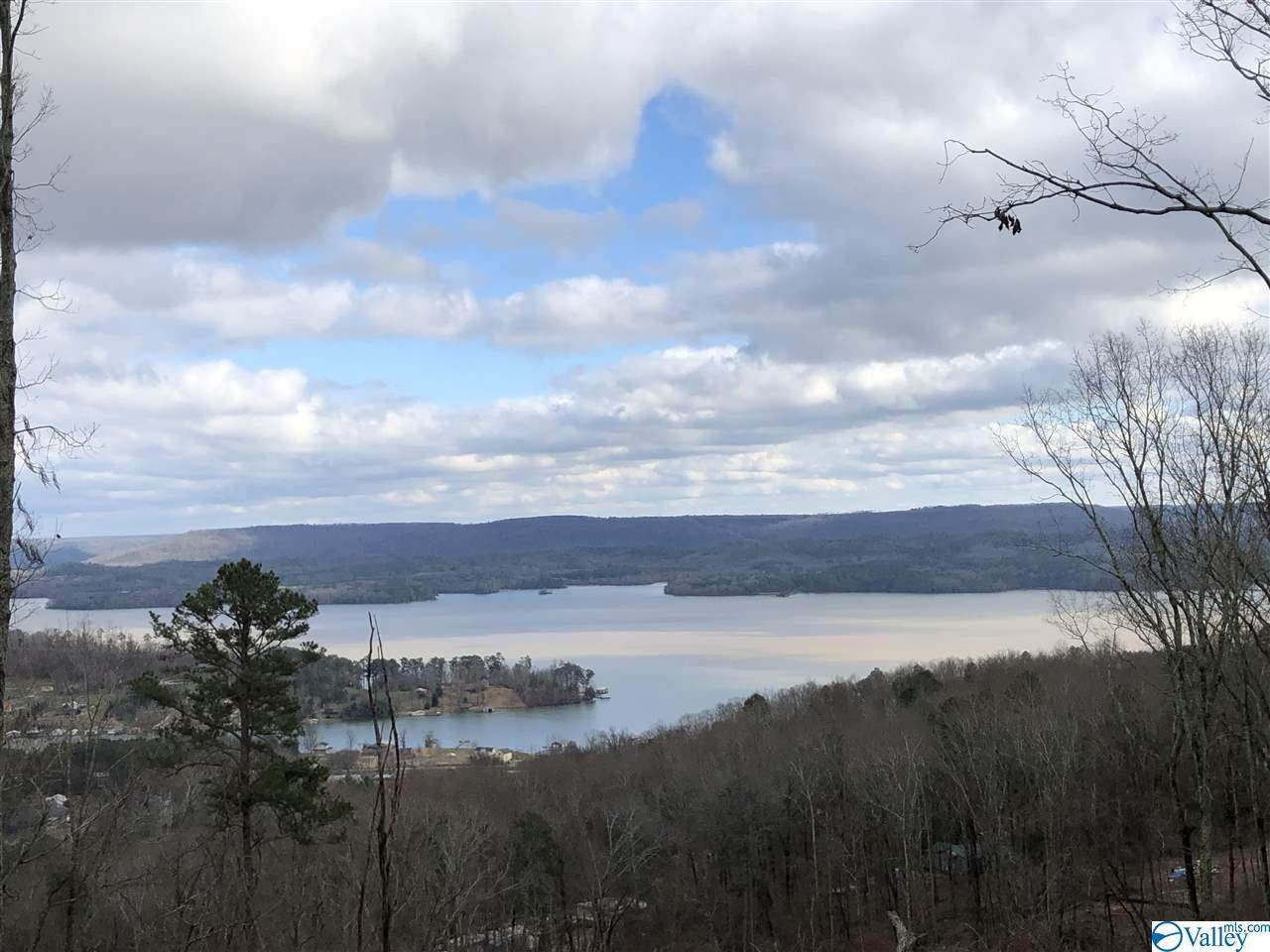 LOT 01 Baker Mountain Road - Photo 1