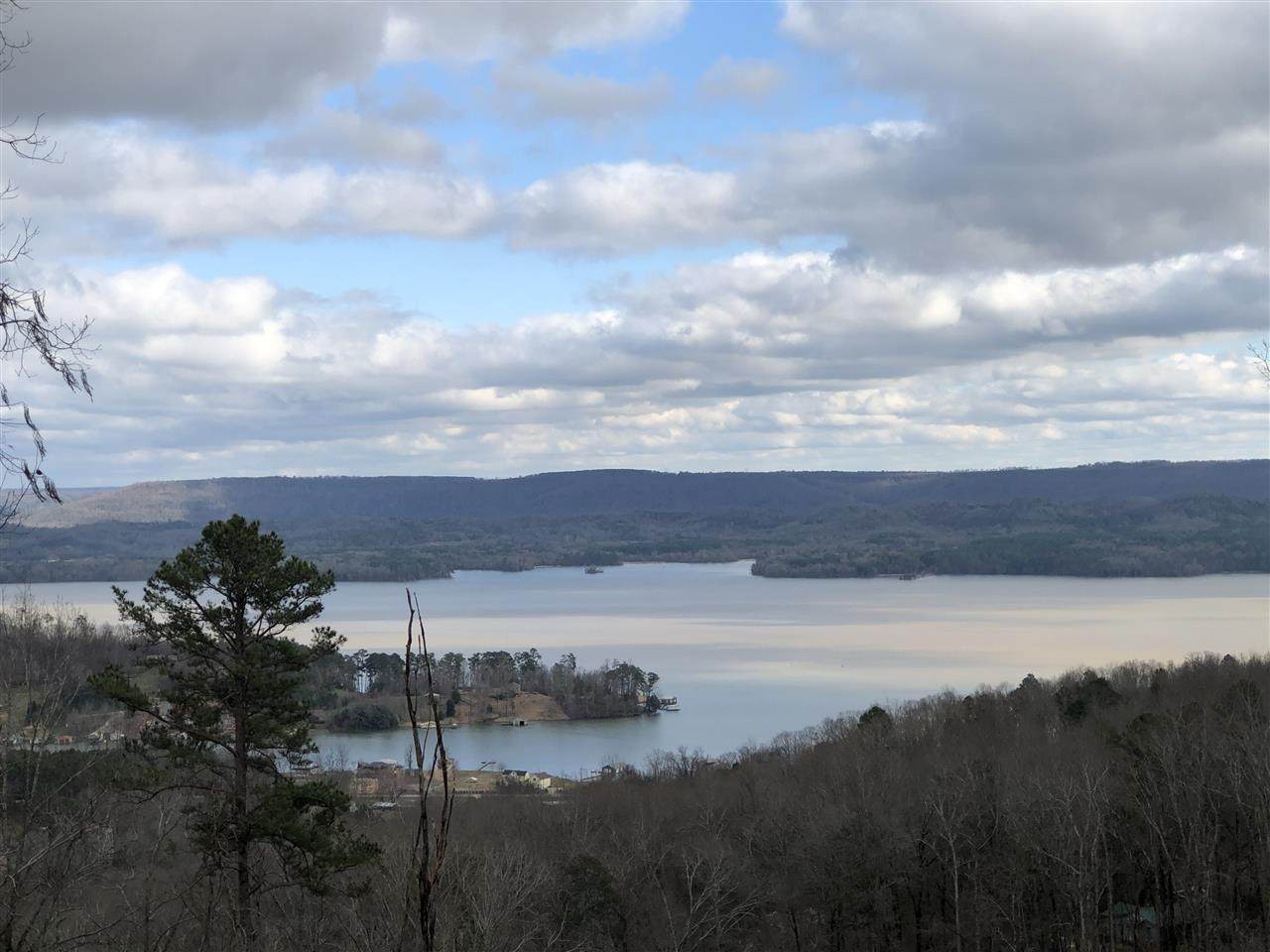LOT 2 Baker Mountain Road - Photo 1