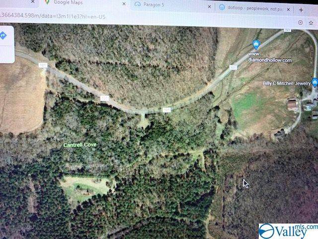 1 County Road 101 - Photo 1