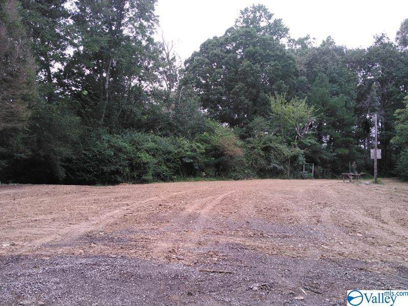 0 Alabama Highway 69 - Photo 1