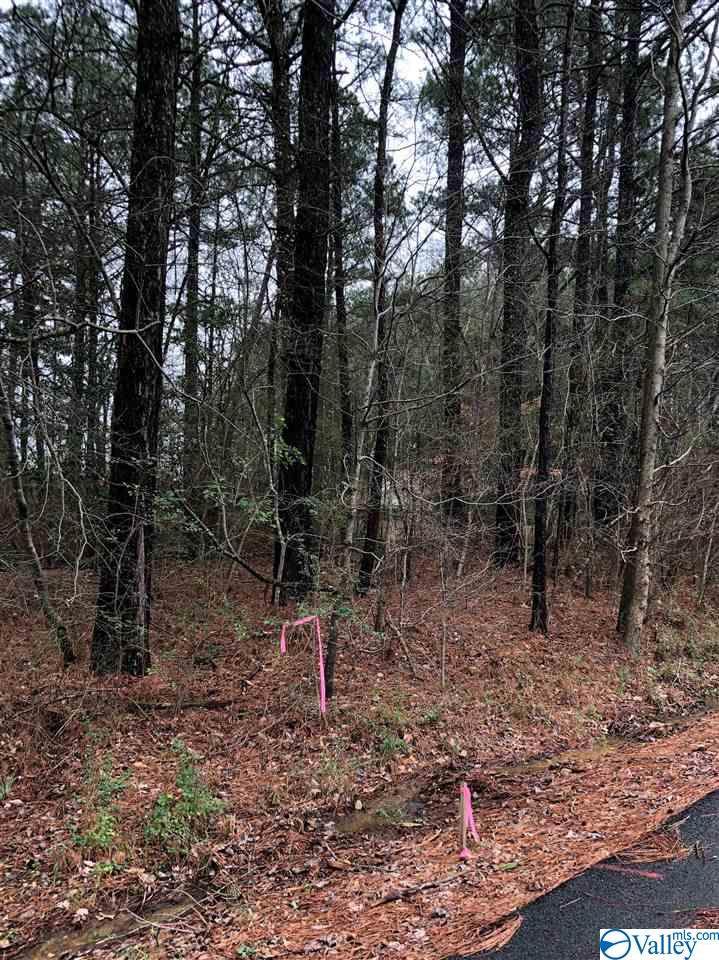 862 & 872 1ST WAY NE - Photo 1