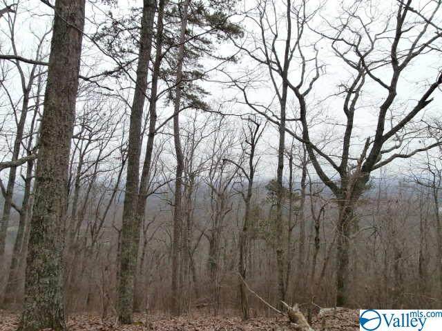 0 County Road 871 - Photo 1