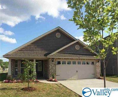 127 Sorrelweed Drive - Photo 1