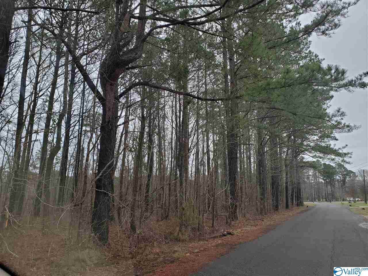 37-38 Indian Lake Drive - Photo 1