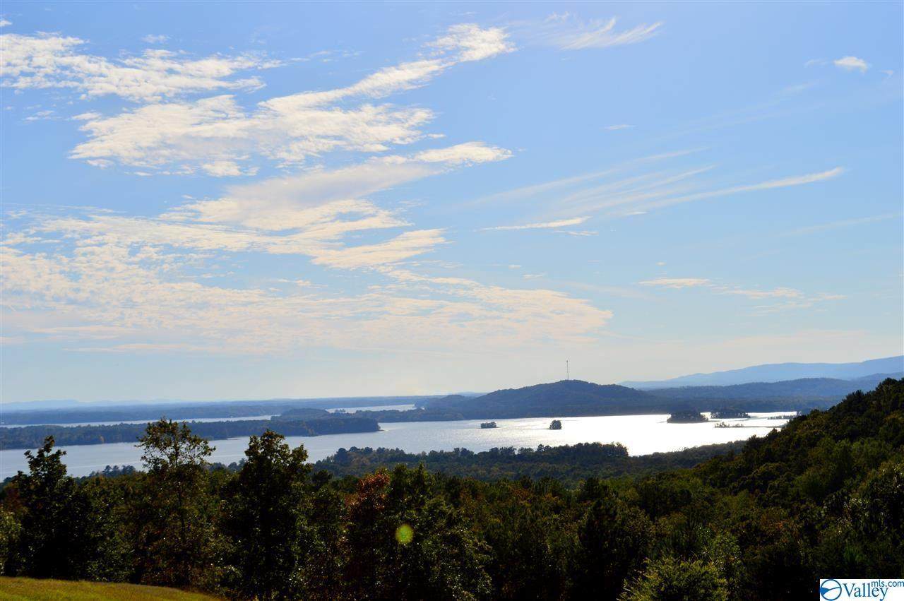 Lot 292 County Road 767 - Photo 1