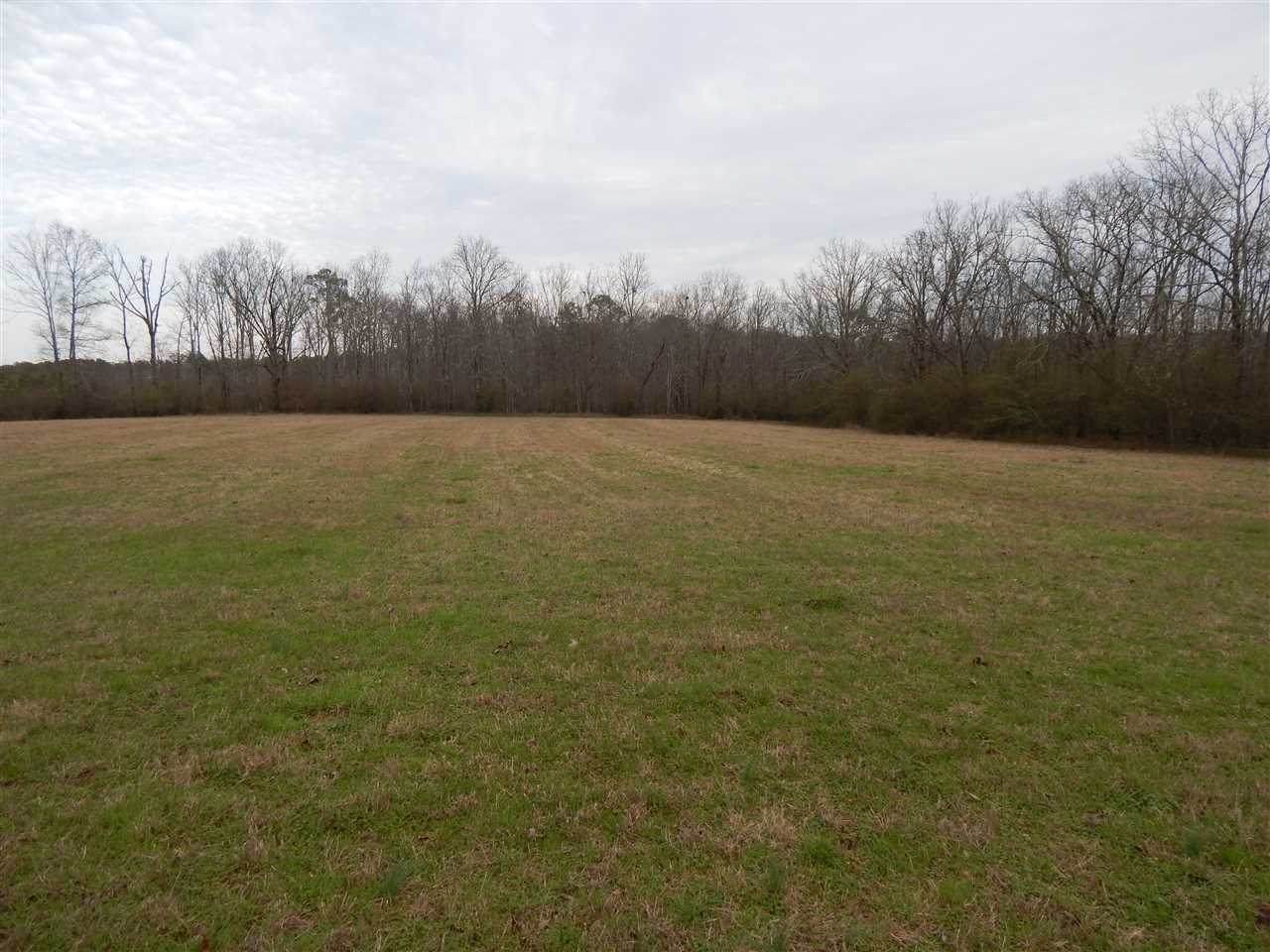 off County Road 352 - Photo 1