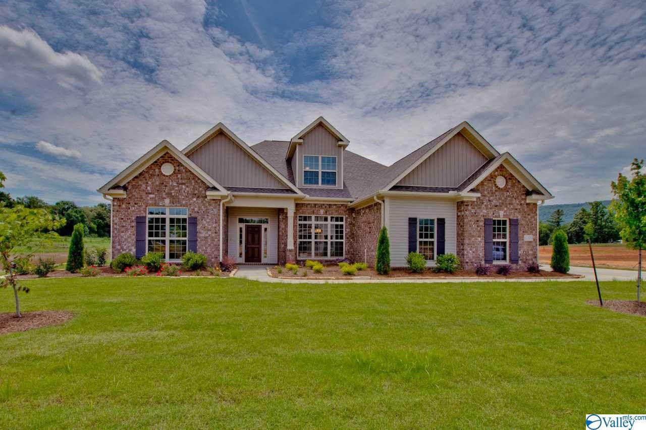 3015 Chimney Cove Circle - Photo 1 3015 Chimney Cove Circle - Photo 1