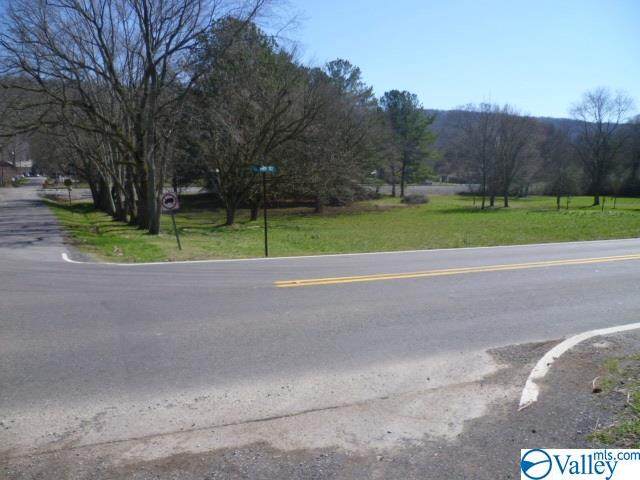 000 Highway 117 - Photo 1